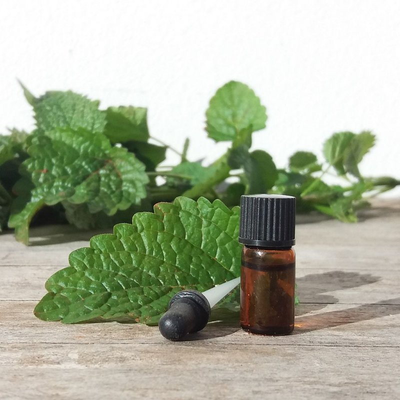 Organic Lemon Balm Essential Oil, 22,50
