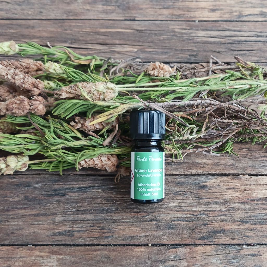 Green Lavender